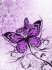 anim240320mobildesign.atw.hu_0224.gif